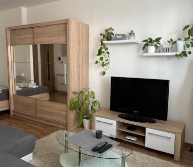 Presov Appartement | Apartmán Torysa