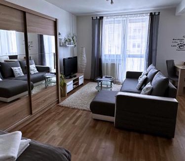 Presov Appartement | Apartmán Torysa