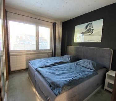 Dolny Kubin Appartement | Apartmán u Adama