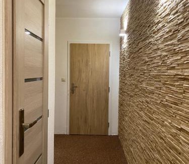 Dolny Kubin Appartement | Apartmán u Adama