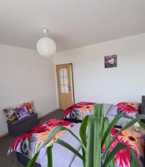 Cerna V Posumavi Appartement | Apartmán U AKVARISTY