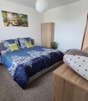 Cerna V Posumavi Appartement | Apartmán U AKVARISTY