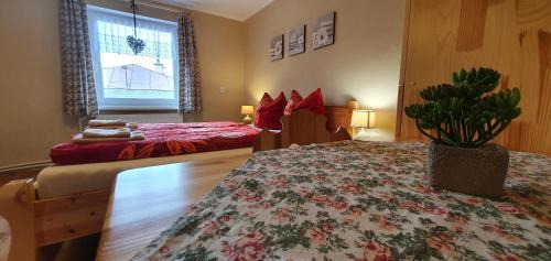 Zdiar Maison | Apartmán u Babičky Ždiar