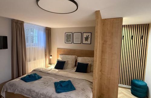 Golcuv Jenikov Appartement | Apartmán U Baziliky