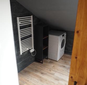 Bila Tremesna Appartement | Apartmán U Borovice