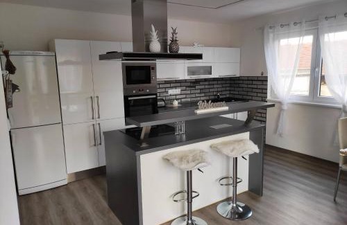 Frysava pod Zakovou horou Appartement | Apartmán u Fryšávky