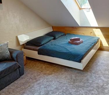 Nova Paka Appartement | Apartmán u Ovečků - Nová Paka