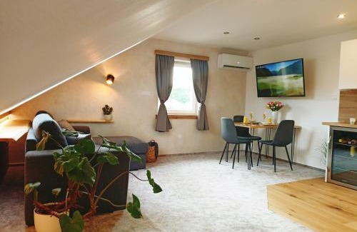 Nova Paka Appartement | Apartmán u Ovečků - Nová Paka