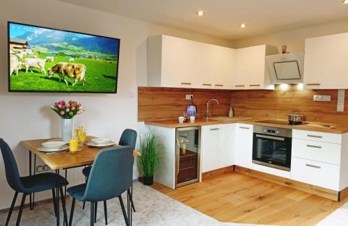 Nova Paka Appartement | Apartmán u Ovečků - Nová Paka
