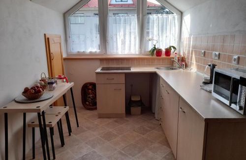 Nove Mesto na Morave Appartement | Apartmán u potoka