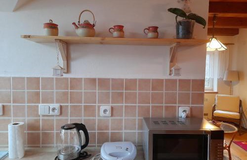 Nove Mesto na Morave Appartement | Apartmán u potoka