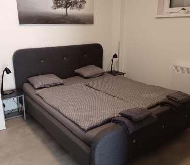 Boretice Appartement | Apartmán u Révy