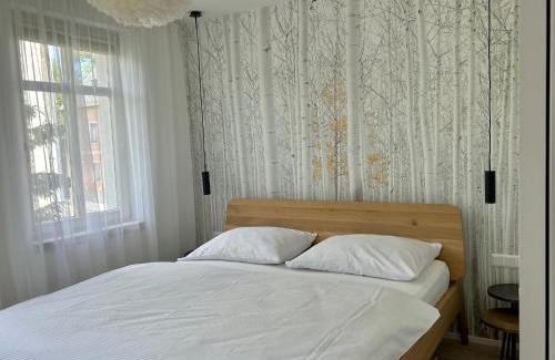 Horni Blatna Appartement | Apartmán U Zlaté břízy Krušné hory - Erzgebirge