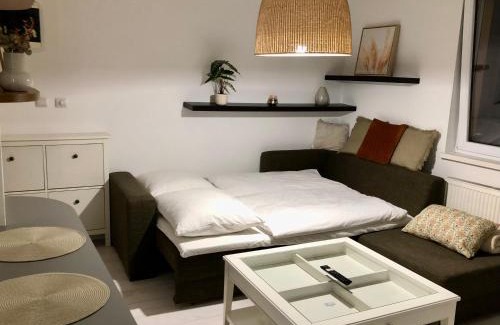Zilina Appartement | Apartmán v centre Žiliny s parkovaním