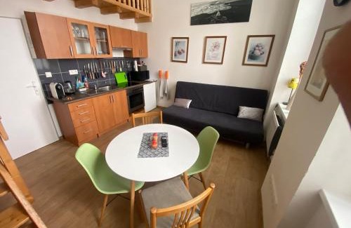 Jablonec nad Nisou Appartement | Apartmán v Lesní