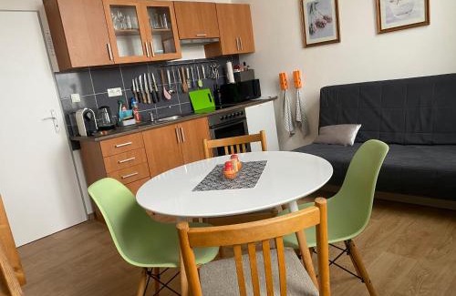 Jablonec nad Nisou Appartement | Apartmán v Lesní