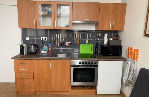 Jablonec nad Nisou Appartement | Apartmán v Lesní