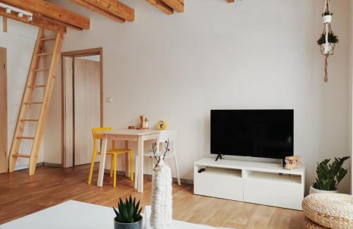 Ricky v Orlickych horach Appartement | Apartmán v podkroví
