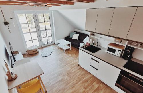 Ricky v Orlickych horach Appartement | Apartmán v podkroví