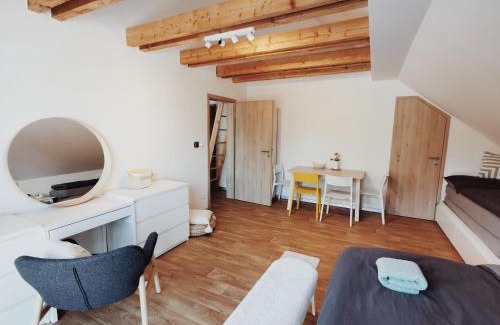 Ricky v Orlickych horach Appartement | Apartmán v podkroví