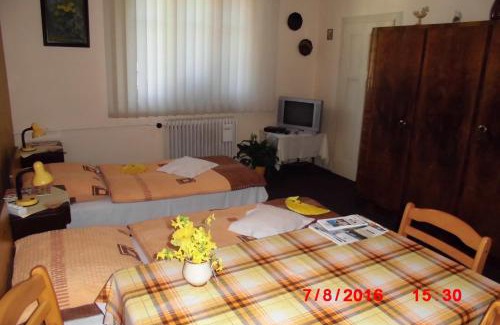 Upice Appartement | Apartmán v secesní vile
