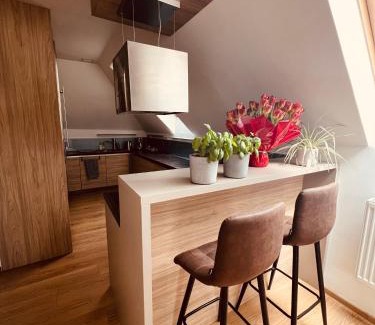 Podebrady Appartement | Apartmán VALORI - Mezonet 100m2