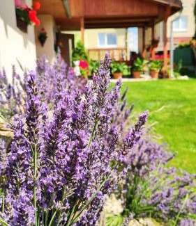 Spissky Stvrtok Appartement | Apartmán Veronika