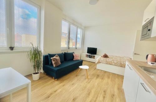 Vyskov Appartement | Apartmán Vyškov
