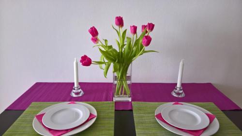 Brno-stred Appartement | Apartmán Zderadova