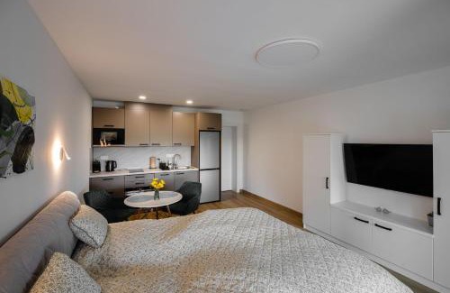 Stepanovice Appartement | Apartmány Štěpánovice