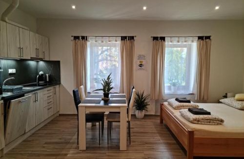 Dvur Kralove nad Labem Appartement | Apartmány Žireč