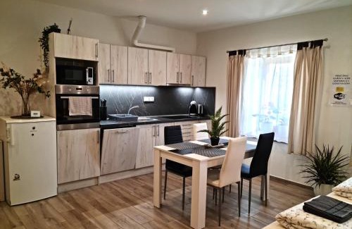 Dvur Kralove nad Labem Appartement | Apartmány Žireč