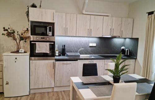 Dvur Kralove nad Labem Appartement | Apartmány Žireč