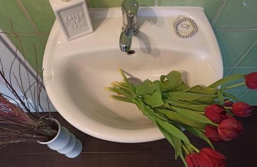Nove Hrady Appartement | Apartmány Žiaková - ubytování Nové Hrady 111