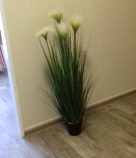 Brno-stred Appartement | Apartmány Brno