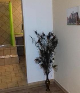 Brno-stred Appartement | Apartmány Brno