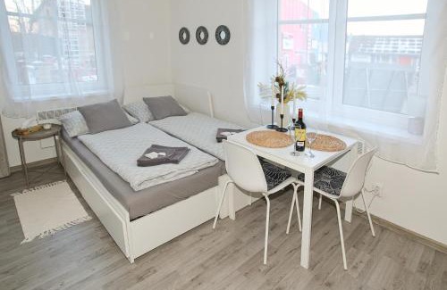 Dvur Kralove nad Labem Appartement | Apartmány Daros