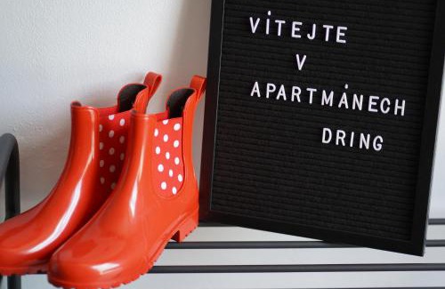 Vaclavov u Bruntalu Appartement | APARTMÁNY DRING