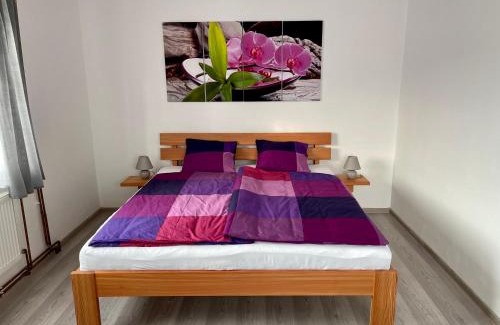 Jenisovice Appartement | Apartmány Marjánka