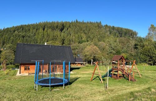 Dolni Orlice Appartement | Apartmány Orlice