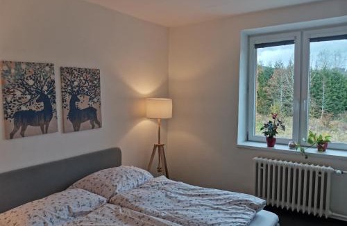 Nova Pec Appartement | Apartmány Pěkná 10
