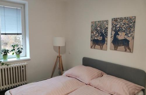 Nova Pec Appartement | Apartmány Pěkná 10