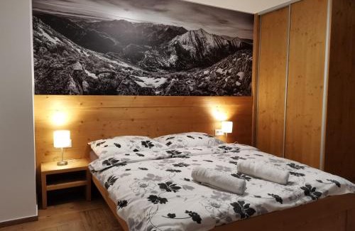 Velky Slavkov Appartement | Apartmány pod Slavkáčom - Vysoké Tatry