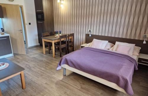 Velke Losiny Appartement | Apartmány Sophia 5 a 6