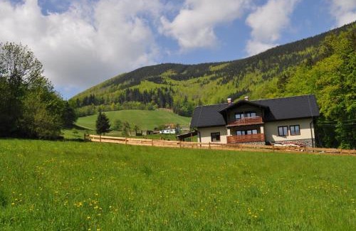 Pstruzi Appartement | Apartmány u Honzy