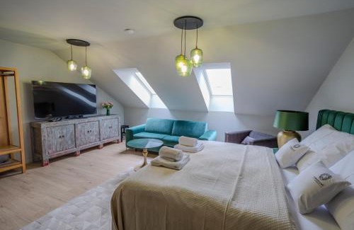 Bechyne Appartement | Apartmány U Devíti Lvů
