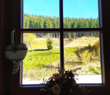 Velke Karlovice Appartement | Apartmány u Ivanky, Polanský dvůr 1149