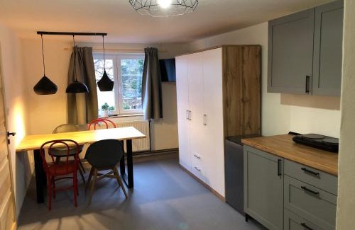 Horni Blatna Appartement | Apartmány U Medvěda