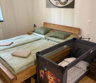 Svinna Appartement | Apartmány v Javorné na Šumavě