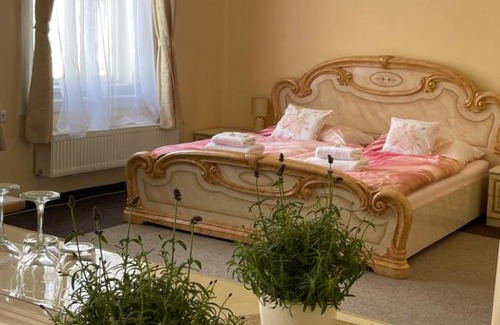 Tyniste nad Orlici Maison | Apartmány vila Týniště
